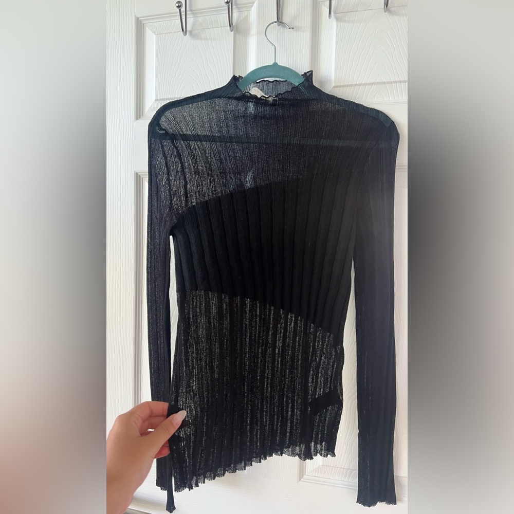 Astr the label Sheer Black Long Sleeve Top
